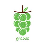 sketch grapes fruit design