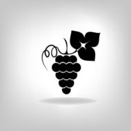 silhouette of grapes N7