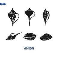 Set of Seashells N2