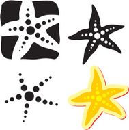 Starfish Sea star