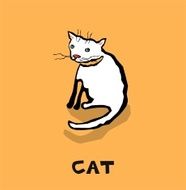 funny cat N9