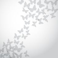 Abstract gray Butterfly Background on white background Vector N2