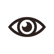 Eye Icon N21