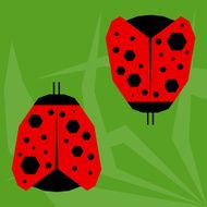 funny cartoon ladybird isolated on green background N2