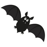 Bat N18