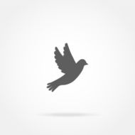 Bird Icon N21