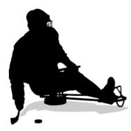 sledge hockey player