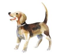 Watercolor small dog stand up and wag his tail