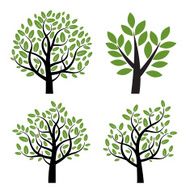 Set of green vector tree with leafs