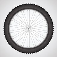 Bike Wheel N2