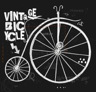 Bicycle N53