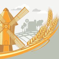 Wheat &amp; windmill