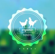 organic chicken label on blurred background