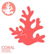 Coral N10