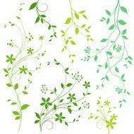 Flower and Leaf Design Elements N2