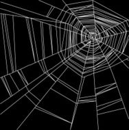 white spider web isolated on the black background
