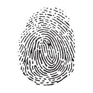 Fingerprint N11