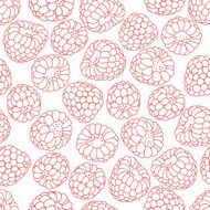 Seamless pattern with raspberry N4