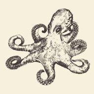 Octopus Vintage Illustration Hand Drawn Sketch