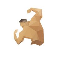 Muscle man abstract isolated on a white backgrounds N8