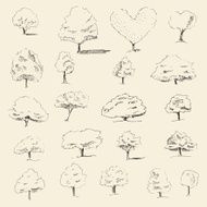 Trees sketch set vintage vector style hand drawn N9