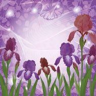 Flowers iris and ipomoea contours N2