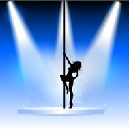 Sexy pole dancer N2