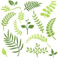 Plant Elements
