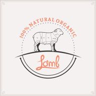 Butcher Shop Label Template Lamb Cuts Diagram