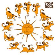 Dog doing yoga position of Surya Namaskara N2