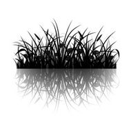 Grass silhouette N10