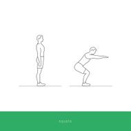 Fitness Icon Workout - squats