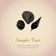 Design template with shells and sample text N2