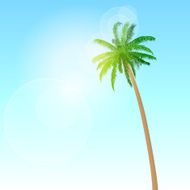 Green Palm Tree with Copy Space over Blue