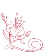 sketch of a flower and ribbon N2