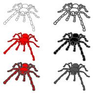 Black Widow N4