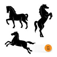 Horse silhouette on a white background - Vector