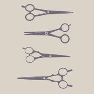 Professional Scissors Set N2