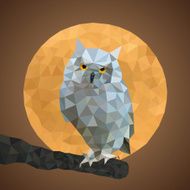 Owl in the night