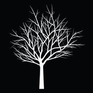 Trees with dead branch N149