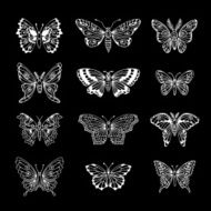 Set of Butterflies Decorative Isolated Silhouettes in Vector N6
