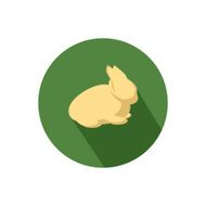 rabbit icon N7