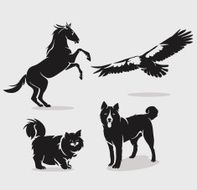 Set of animals N5