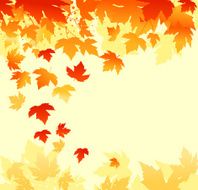 Autumn Background N123