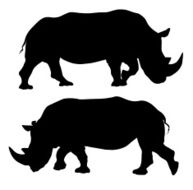 rhinoceros N8