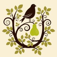 Partridge in a pear tree N3