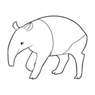 Tapir outline illustration