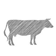 cow silhouette shading doodle drawing by hand Vector