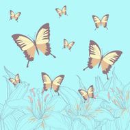 Colorful butterfly and lilies vector background