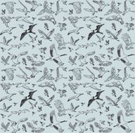 Color birds set seamless pattern N2